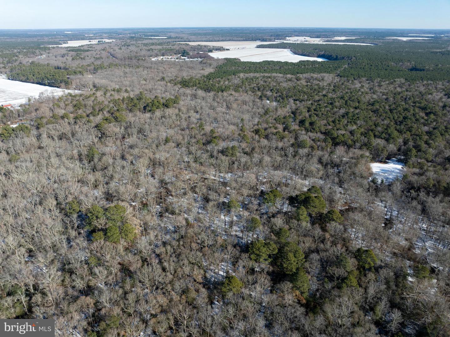 DESU2102620-804413682408-2026-01-06-12-54-45 0 Rt 524 | Seaford, DE Real Estate For Sale | MLS# Desu2102620  - Jack Lingo REALTOR