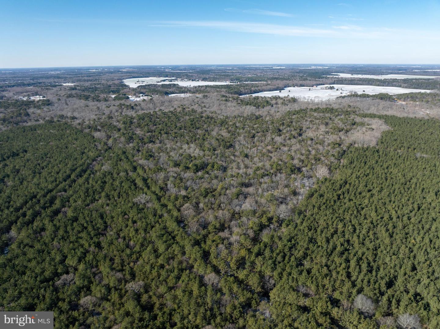 DESU2102620-804413682694-2026-01-06-12-54-45 0 Rt 524 | Seaford, DE Real Estate For Sale | MLS# Desu2102620  - Jack Lingo REALTOR