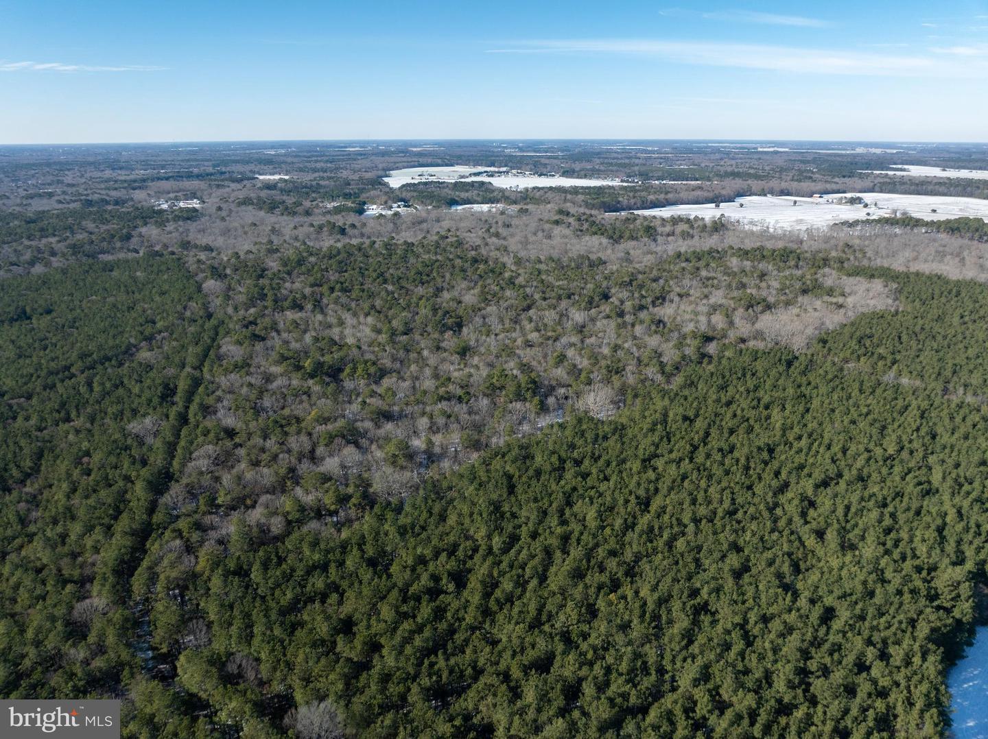 DESU2102620-804413682946-2026-01-06-12-54-45 0 Rt 524 | Seaford, DE Real Estate For Sale | MLS# Desu2102620  - Jack Lingo REALTOR