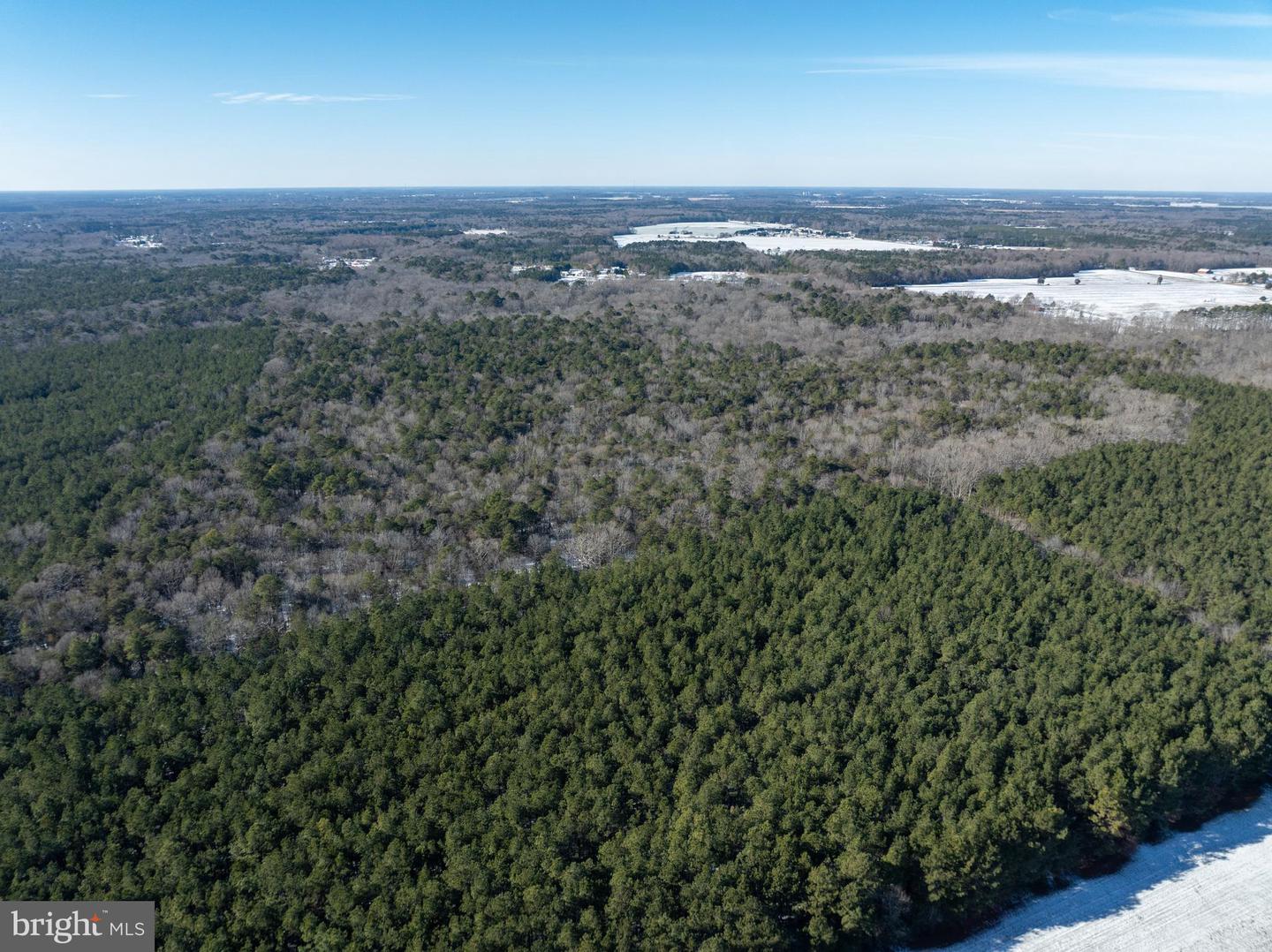 DESU2102620-804413683114-2026-01-06-12-54-45 0 Rt 524 | Seaford, DE Real Estate For Sale | MLS# Desu2102620  - Jack Lingo REALTOR