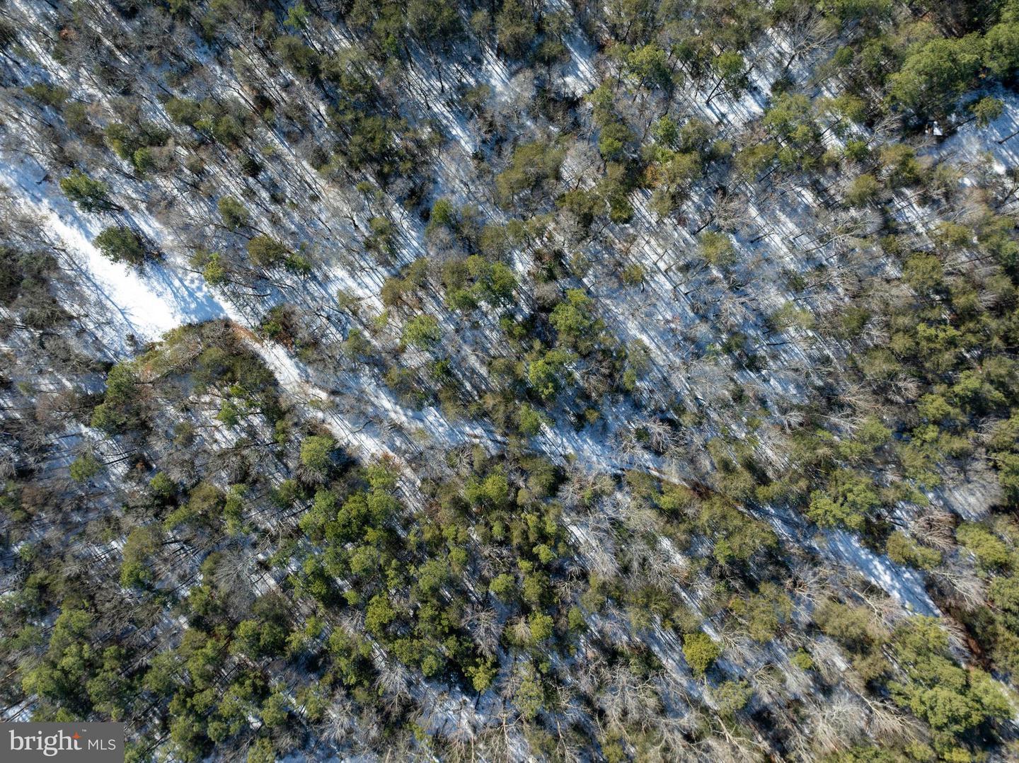 DESU2102620-804413683440-2026-01-06-12-54-44 0 Rt 524 | Seaford, DE Real Estate For Sale | MLS# Desu2102620  - Jack Lingo REALTOR