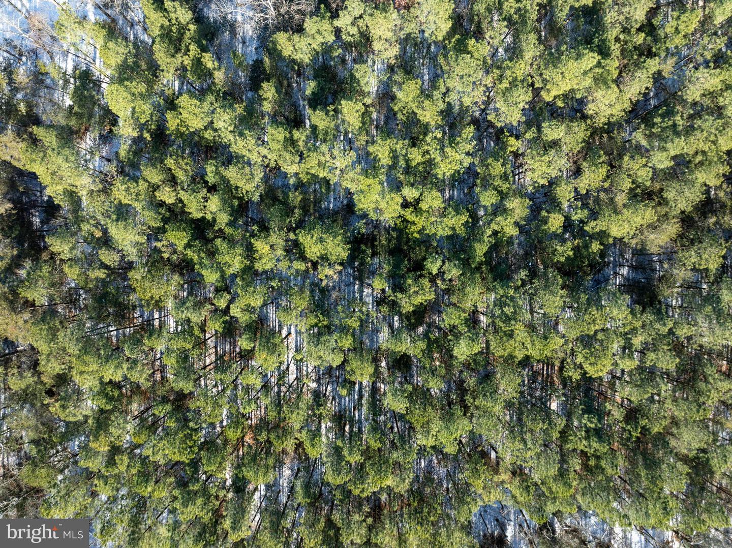 DESU2102620-804413684300-2026-01-06-12-54-45 0 Rt 524 | Seaford, DE Real Estate For Sale | MLS# Desu2102620  - Jack Lingo REALTOR