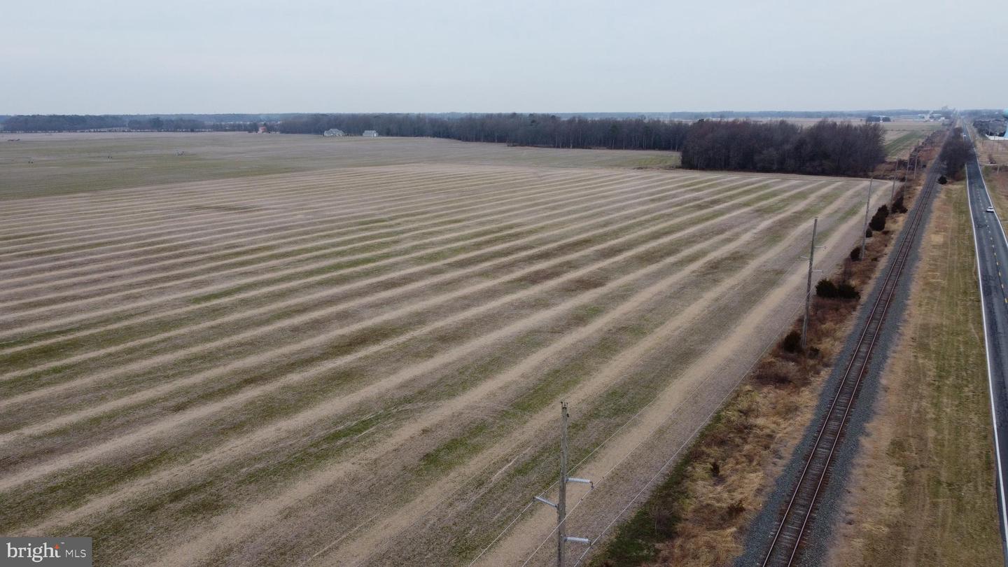 DESU2102650-804414385676-2026-01-07-13-18-22 Parcel 1 - Wilson Farm Rd | Bridgeville, DE Real Estate For Sale | MLS# Desu2102650 - Jack Lingo REALTOR DESU2102650-804414385676-2026-01-07-13-18-22 Parcel 1 - Wilson Farm Rd | Bridgeville, DE Real Estate For Sale | MLS# Desu2102650 - Jack Lingo REALTOR