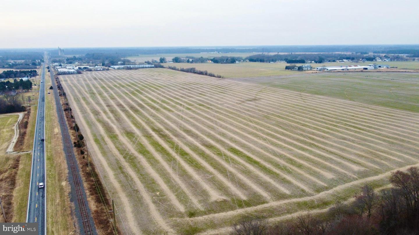 DESU2102650-804414385736-2026-01-07-13-18-22 Parcel 1 - Wilson Farm Rd | Bridgeville, DE Real Estate For Sale | MLS# Desu2102650 - Jack Lingo REALTOR DESU2102650-804414385736-2026-01-07-13-18-22 Parcel 1 - Wilson Farm Rd | Bridgeville, DE Real Estate For Sale | MLS# Desu2102650 - Jack Lingo REALTOR