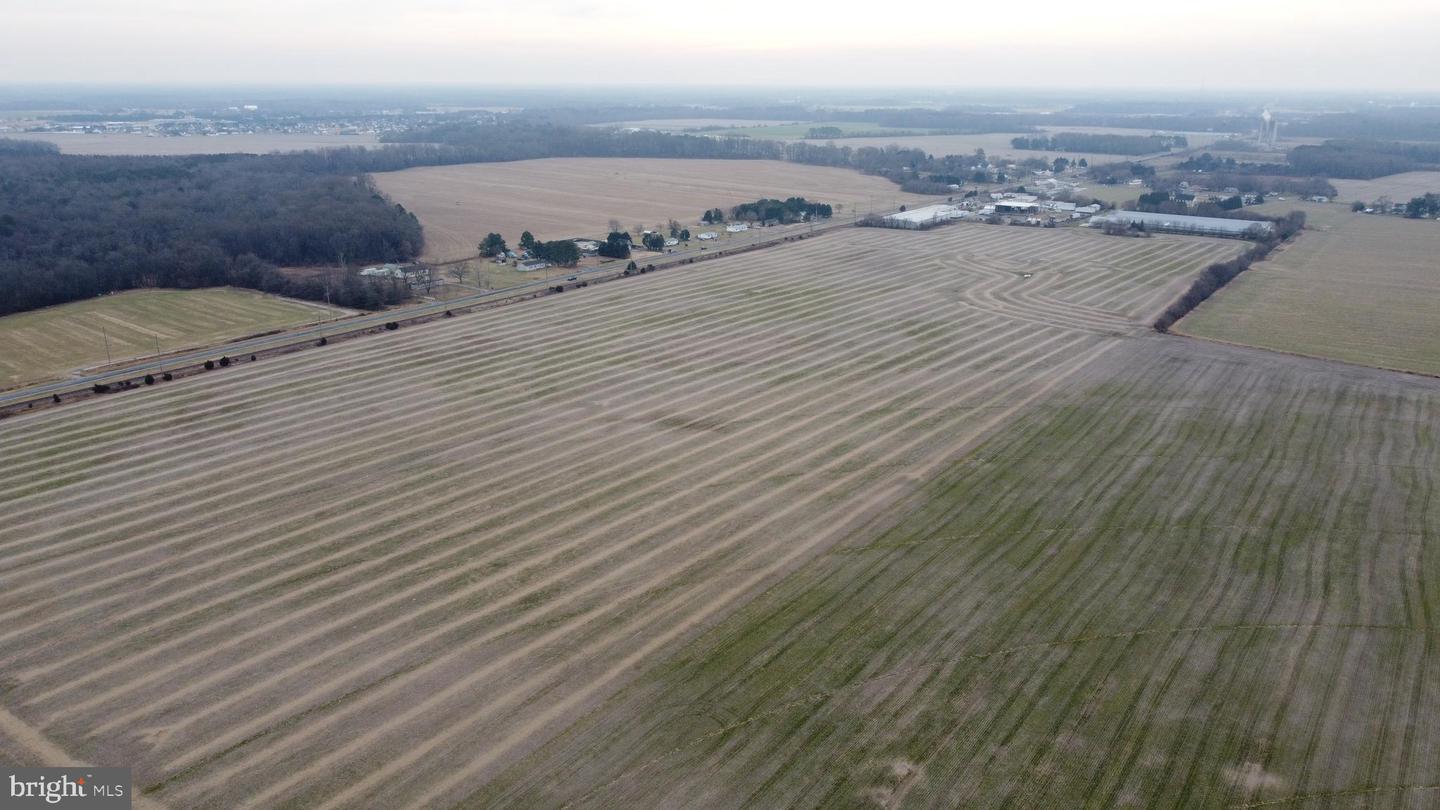 DESU2102650-804414387220-2026-01-07-16-05-47 Parcel 1 - Wilson Farm Rd | Bridgeville, DE Real Estate For Sale | MLS# Desu2102650 - Jack Lingo REALTOR DESU2102650-804414387220-2026-01-07-16-05-47 Parcel 1 - Wilson Farm Rd | Bridgeville, DE Real Estate For Sale | MLS# Desu2102650 - Jack Lingo REALTOR