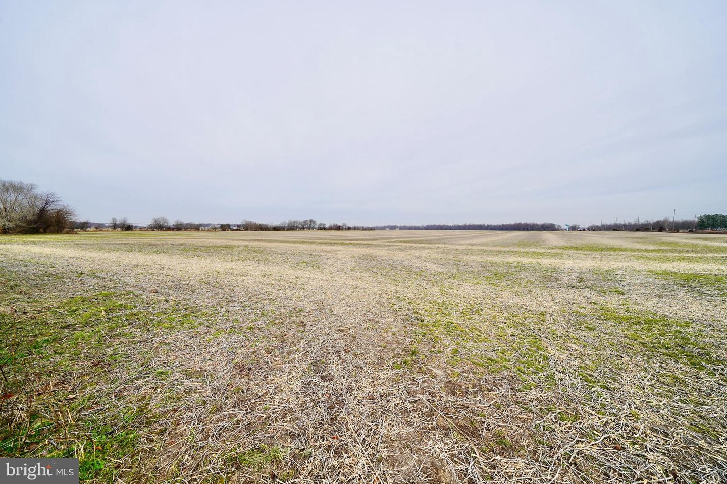 DESU2102650-804414387888-2026-01-06-15-11-10 Parcel 1 - Wilson Farm Rd | Bridgeville, DE Real Estate For Sale | MLS# Desu2102650 - Jack Lingo REALTOR DESU2102650-804414387888-2026-01-06-15-11-10 Parcel 1 - Wilson Farm Rd | Bridgeville, DE Real Estate For Sale | MLS# Desu2102650 - Jack Lingo REALTOR