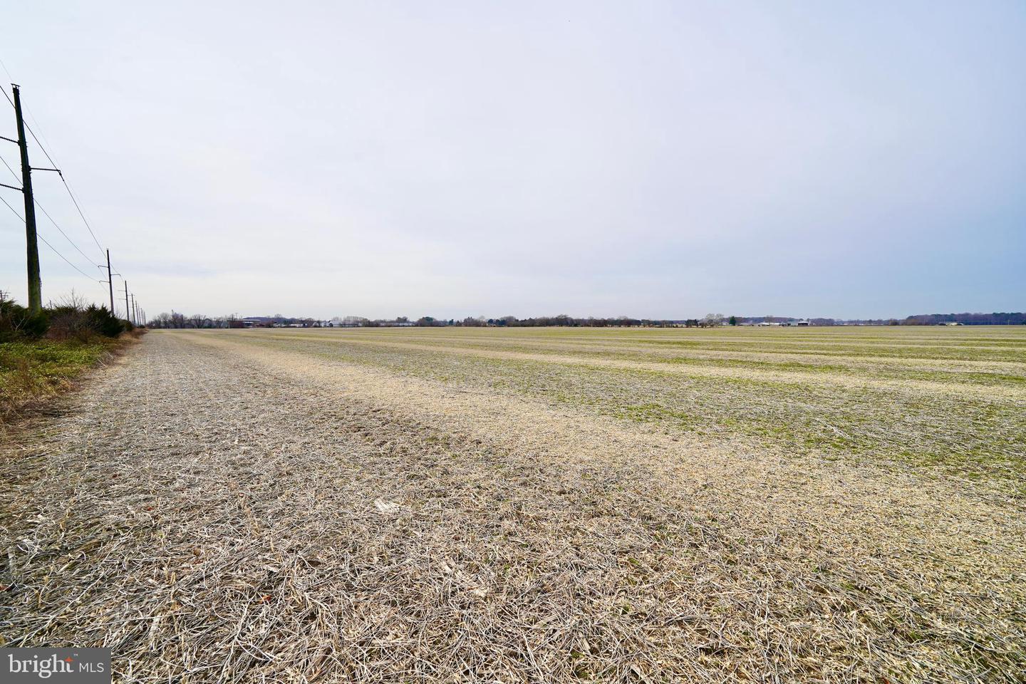 DESU2102650-804414388598-2026-01-07-13-18-21 Parcel 1 - Wilson Farm Rd | Bridgeville, DE Real Estate For Sale | MLS# Desu2102650 - Jack Lingo REALTOR DESU2102650-804414388598-2026-01-07-13-18-21 Parcel 1 - Wilson Farm Rd | Bridgeville, DE Real Estate For Sale | MLS# Desu2102650 - Jack Lingo REALTOR