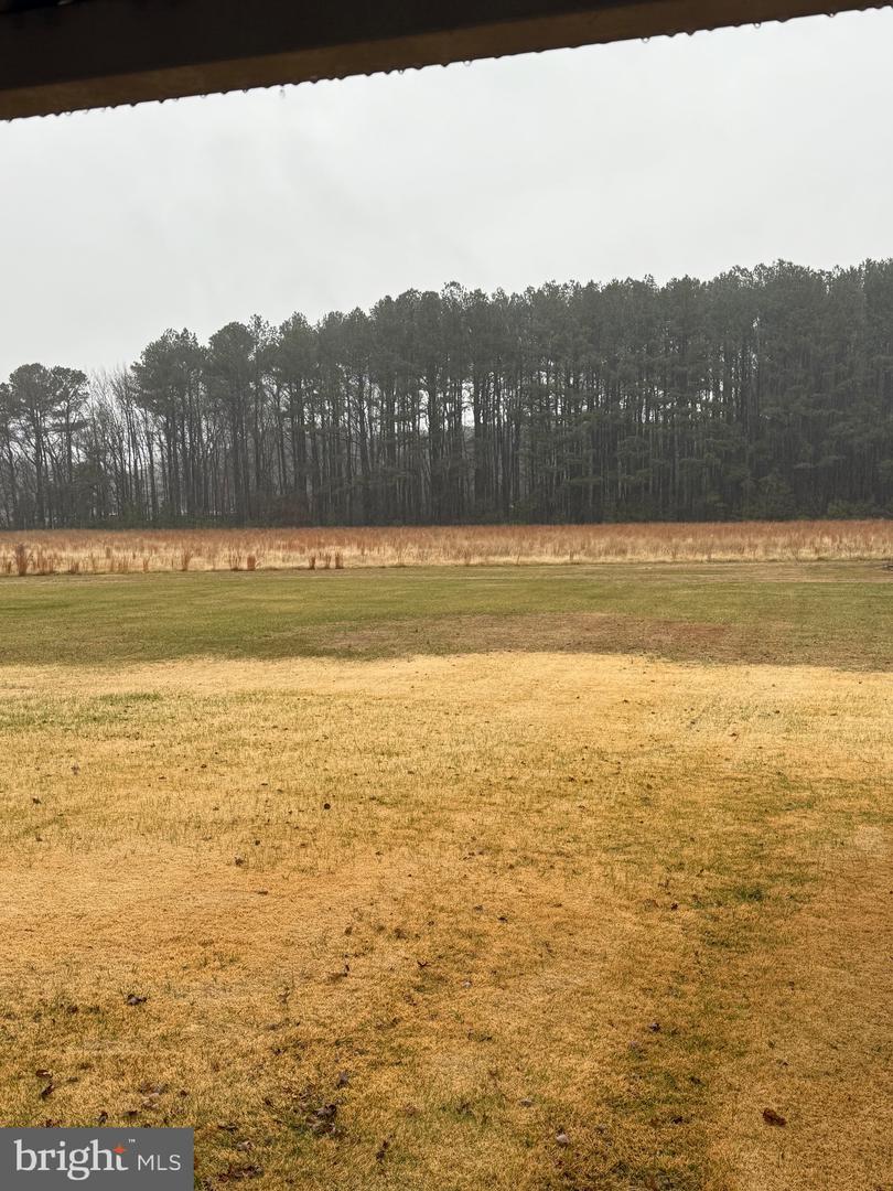 DESU2102654-804429176768-2026-01-26-12-09-30 11493 Ross Ln | Delmar, DE Real Estate For Sale | MLS# Desu2102654  - Jack Lingo REALTOR