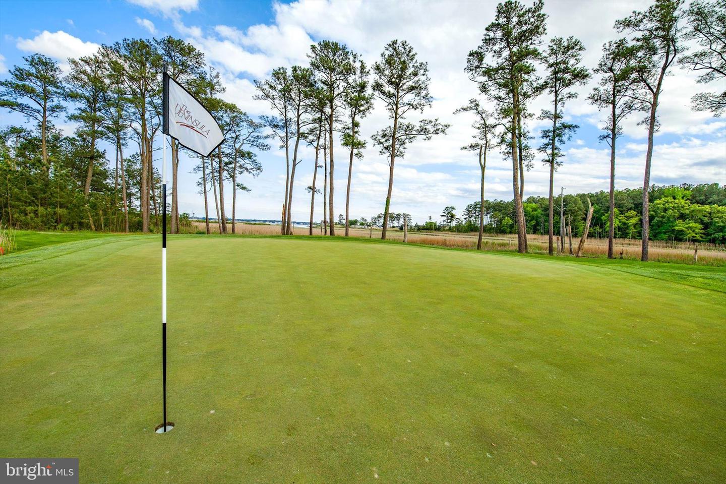 DESU2102726-804466237938-2026-01-22-12-55-04 27053 Firefly Blvd #127 | Millsboro, DE Real Estate For Sale | MLS# Desu2102726  - Jack Lingo REALTOR