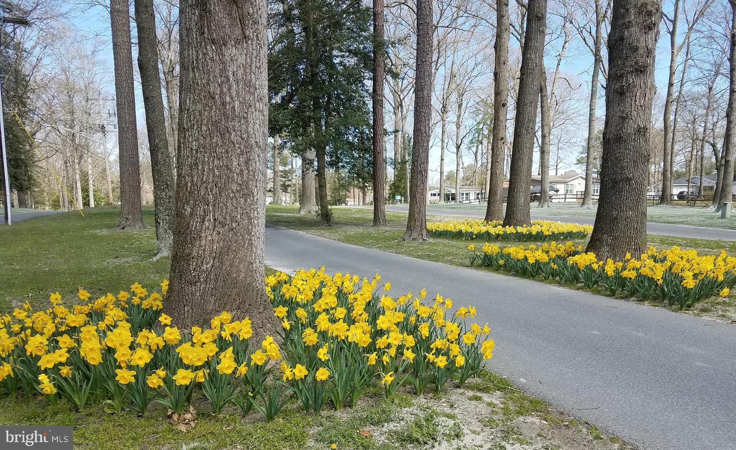 DESU2102786-804421667586-2026-01-12-18-58-12 34134 Indian Cabin Creek Rd | Millsboro, DE Real Estate For Sale | MLS# Desu2102786  - Jack Lingo REALTOR