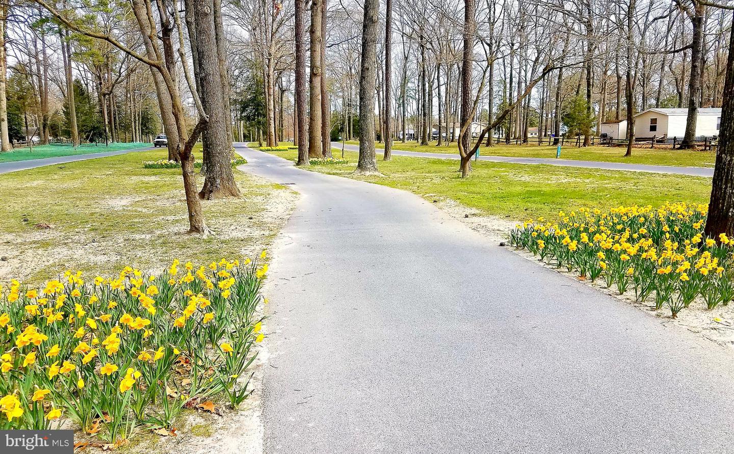 DESU2102786-804421667878-2026-01-12-18-58-11 34134 Indian Cabin Creek Rd | Millsboro, DE Real Estate For Sale | MLS# Desu2102786  - Jack Lingo REALTOR