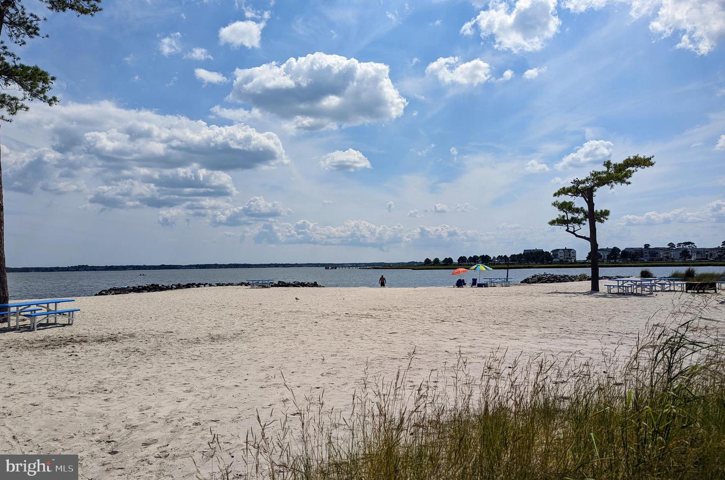 DESU2102786-804421685808-2026-01-12-18-58-11 34134 Indian Cabin Creek Rd | Millsboro, DE Real Estate For Sale | MLS# Desu2102786  - Jack Lingo REALTOR