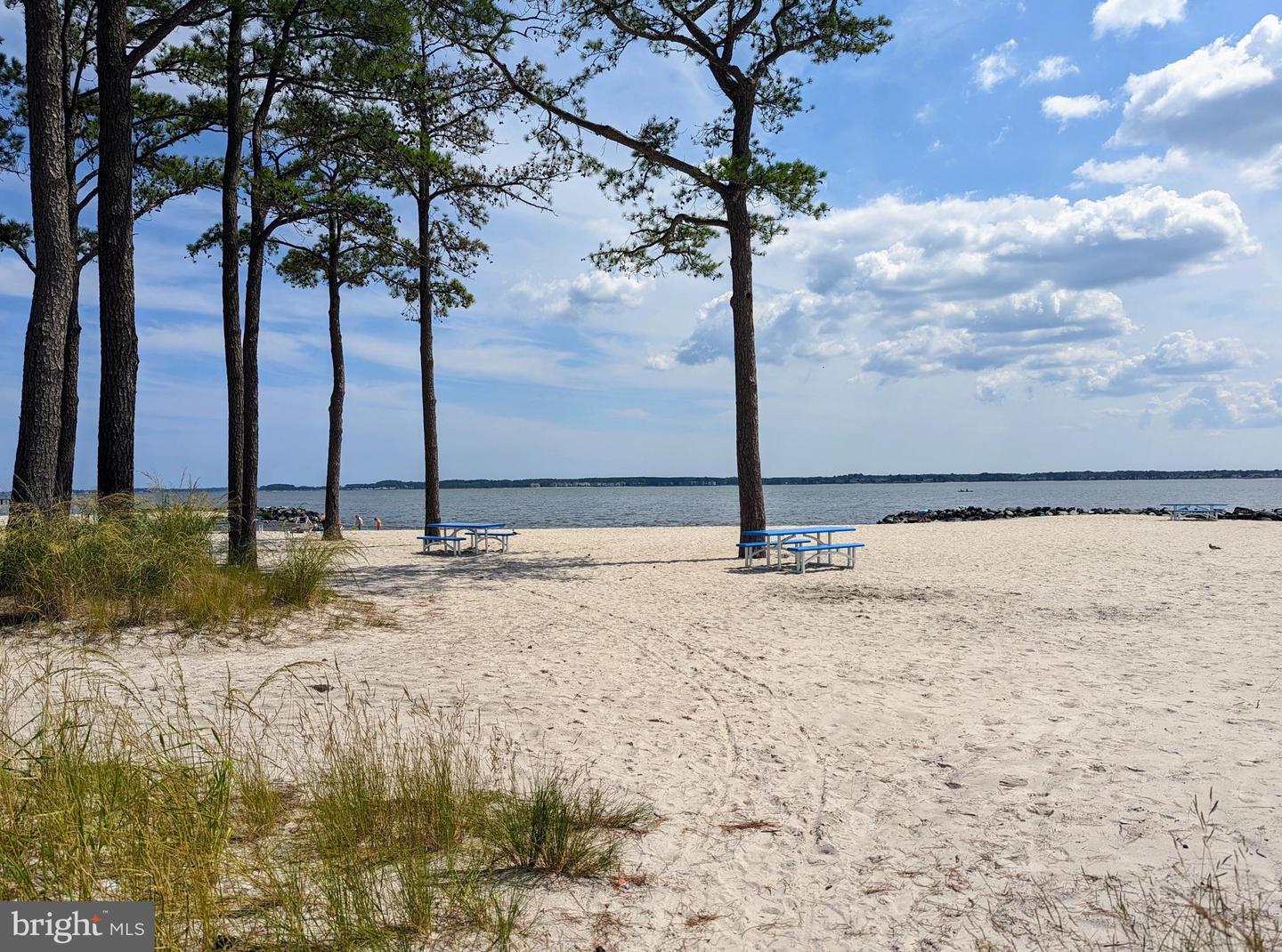 DESU2102786-804421686194-2026-01-12-18-58-11 34134 Indian Cabin Creek Rd | Millsboro, DE Real Estate For Sale | MLS# Desu2102786  - Jack Lingo REALTOR