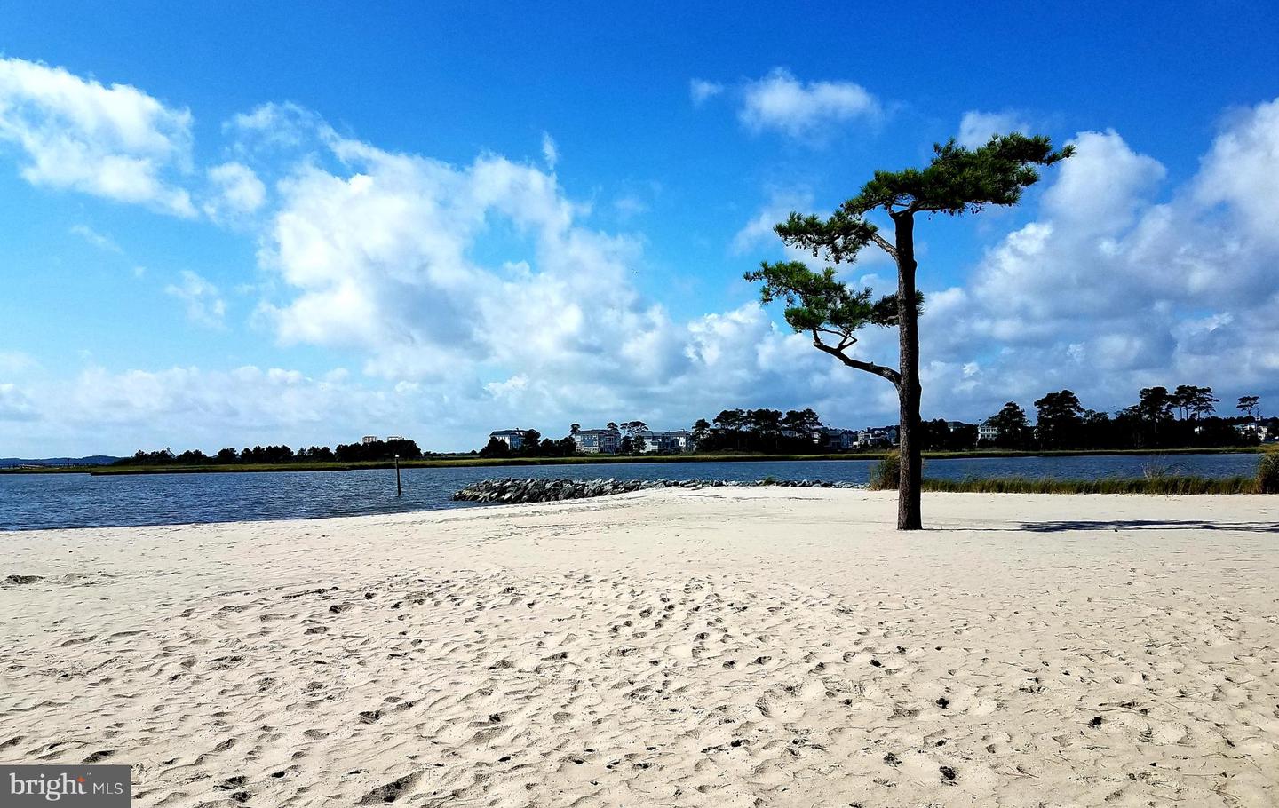 DESU2102786-804421704494-2026-01-12-18-58-11 34134 Indian Cabin Creek Rd | Millsboro, DE Real Estate For Sale | MLS# Desu2102786  - Jack Lingo REALTOR