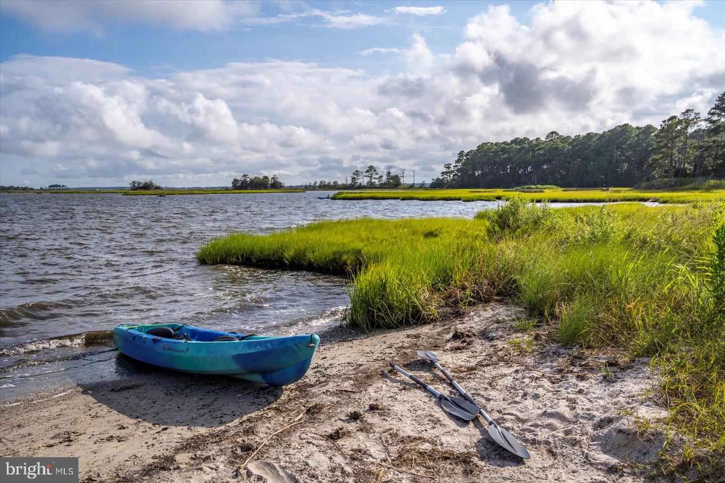 DESU2102882-804529327752-2026-02-13-11-28-01 36314 Sunflower Blvd | Selbyville, DE Real Estate For Sale | MLS# Desu2102882 - Jack Lingo REALTOR DESU2102882-804529327752-2026-02-13-11-28-01 36314 Sunflower Blvd | Selbyville, DE Real Estate For Sale | MLS# Desu2102882 - Jack Lingo REALTOR