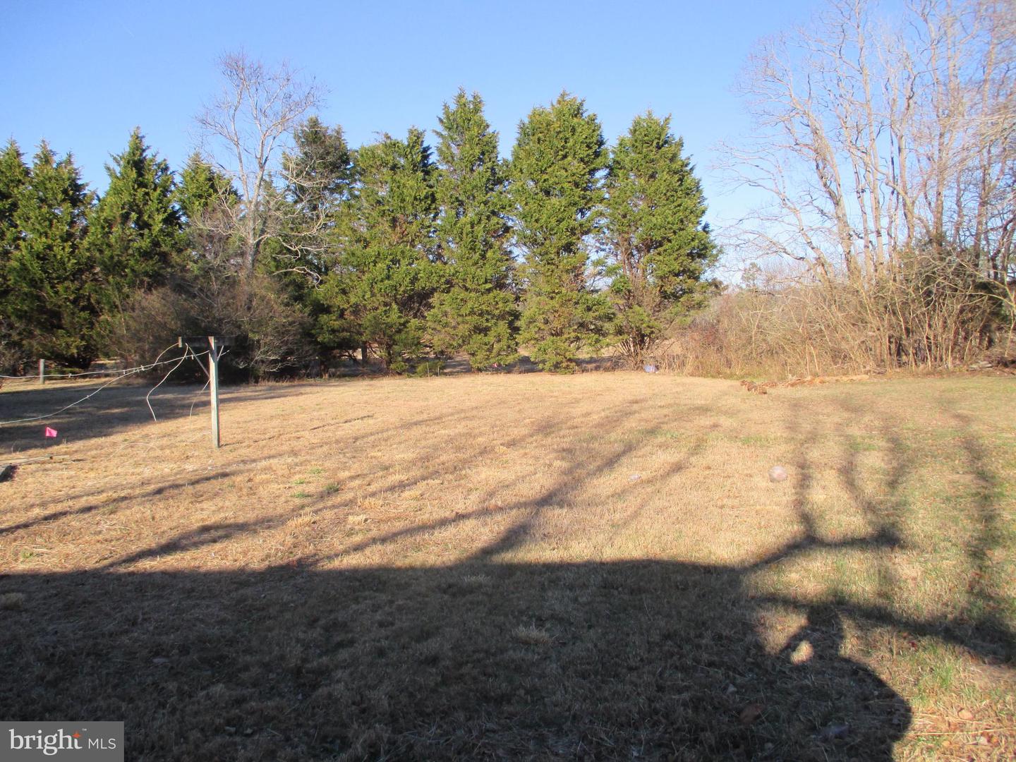 DESU2102904-804433921866-2026-01-13-09-20-27 29791 Armory Rd | Dagsboro, DE Real Estate For Sale | MLS# Desu2102904  - Jack Lingo REALTOR