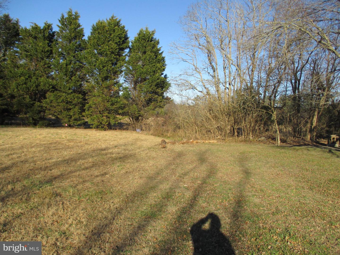 DESU2102904-804433930778-2026-01-13-09-20-27 29791 Armory Rd | Dagsboro, DE Real Estate For Sale | MLS# Desu2102904  - Jack Lingo REALTOR