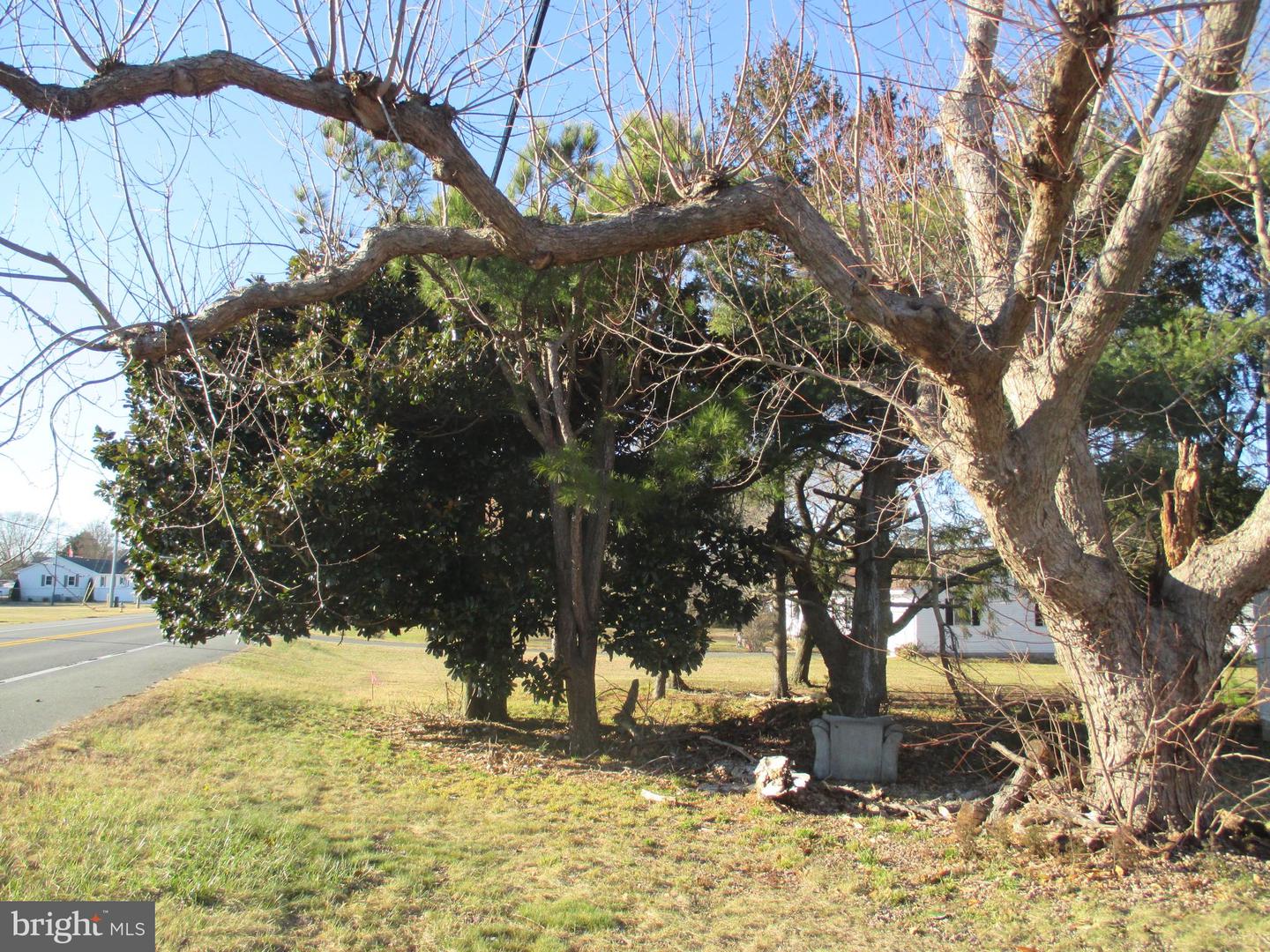 DESU2102904-804433932660-2026-01-13-09-20-27 29791 Armory Rd | Dagsboro, DE Real Estate For Sale | MLS# Desu2102904  - Jack Lingo REALTOR