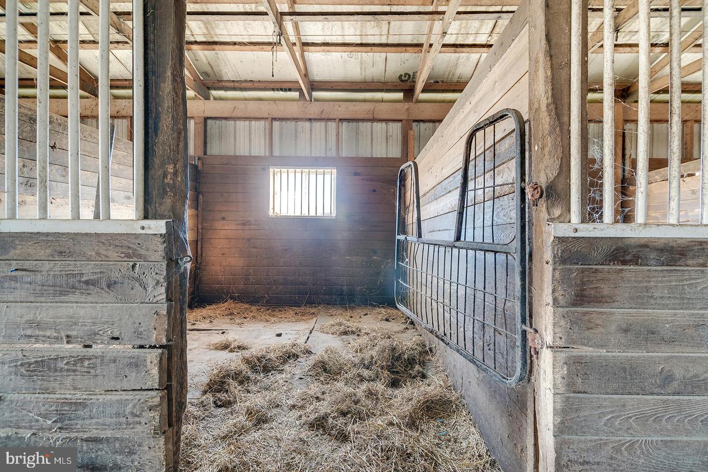 DESU2102962-804465669614-2026-01-30-00-14-22 6485 Epworth Church Rd | Bridgeville, DE Real Estate For Sale | MLS# Desu2102962 - Jack Lingo REALTOR DESU2102962-804465669614-2026-01-30-00-14-22 6485 Epworth Church Rd | Bridgeville, DE Real Estate For Sale | MLS# Desu2102962 - Jack Lingo REALTOR