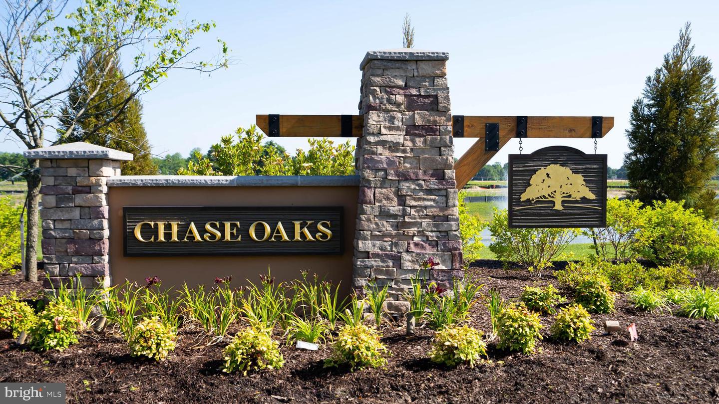 DESU2103030-804435269522-2026-01-14-13-23-04 30023 Chase Oaks Dr | Lewes, DE Real Estate For Sale | MLS# Desu2103030  - Jack Lingo REALTOR