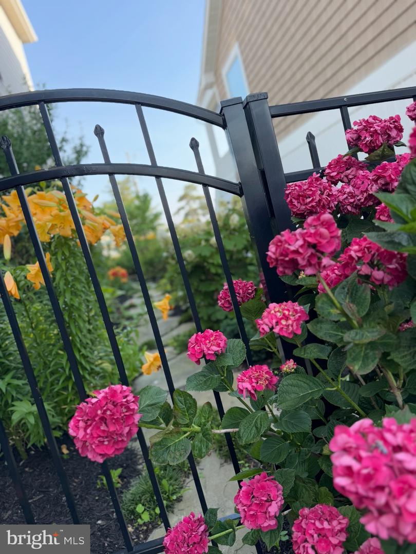 DESU2103056-804441216508-2026-01-23-12-14-17 7 W Essex St | Fenwick Island, DE Real Estate For Sale | MLS# Desu2103056  - Jack Lingo REALTOR