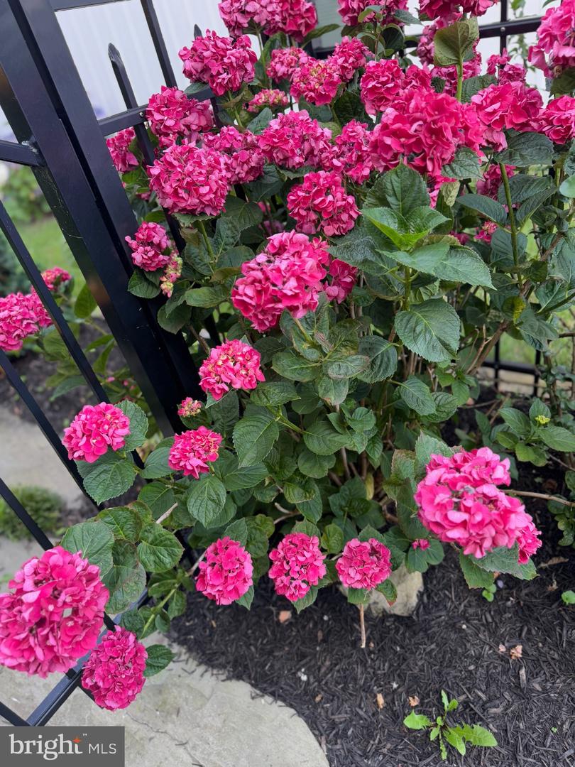 DESU2103056-804441216530-2026-01-23-12-14-17 7 W Essex St | Fenwick Island, DE Real Estate For Sale | MLS# Desu2103056  - Jack Lingo REALTOR