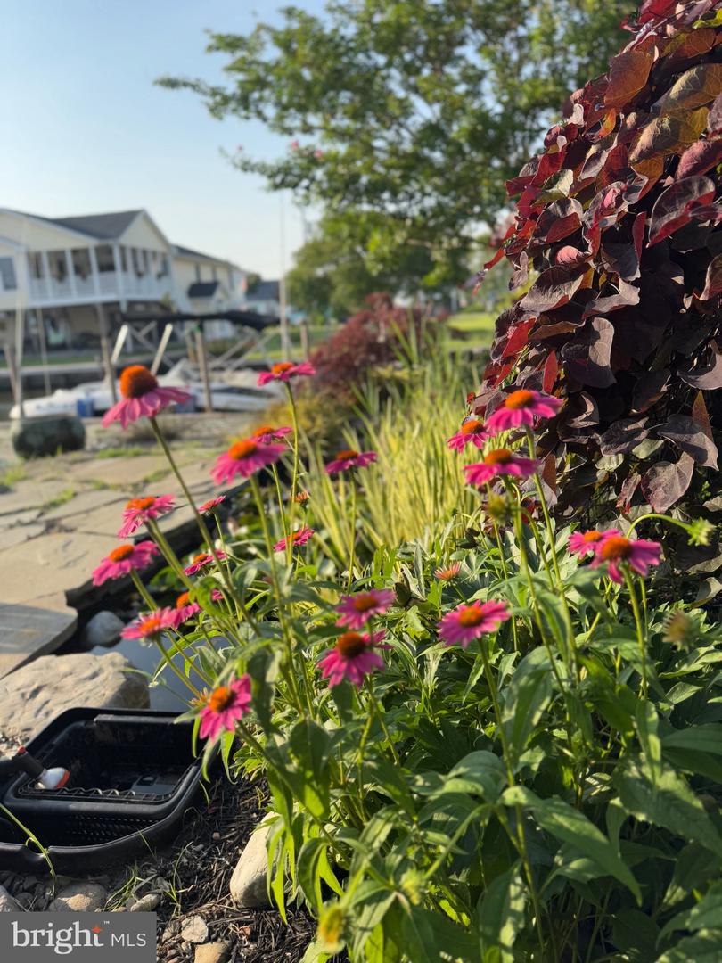 DESU2103056-804441217558-2026-01-23-12-14-17 7 W Essex St | Fenwick Island, DE Real Estate For Sale | MLS# Desu2103056  - Jack Lingo REALTOR