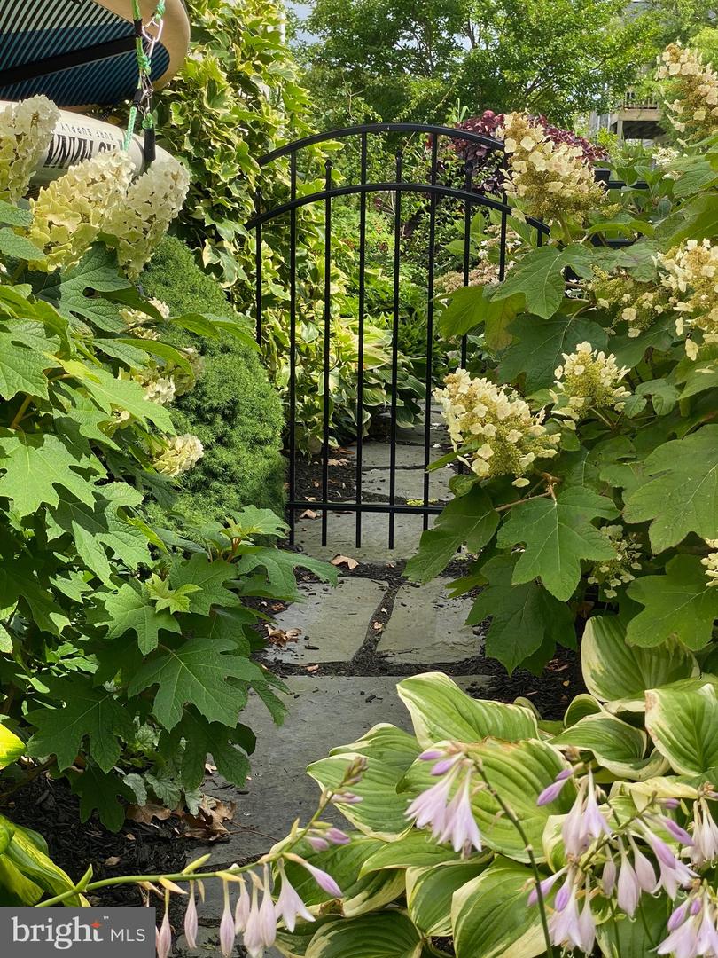 DESU2103056-804441218622-2026-01-23-12-14-17 7 W Essex St | Fenwick Island, DE Real Estate For Sale | MLS# Desu2103056  - Jack Lingo REALTOR