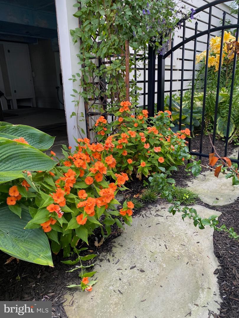 DESU2103056-804441219200-2026-01-23-12-14-17 7 W Essex St | Fenwick Island, DE Real Estate For Sale | MLS# Desu2103056  - Jack Lingo REALTOR