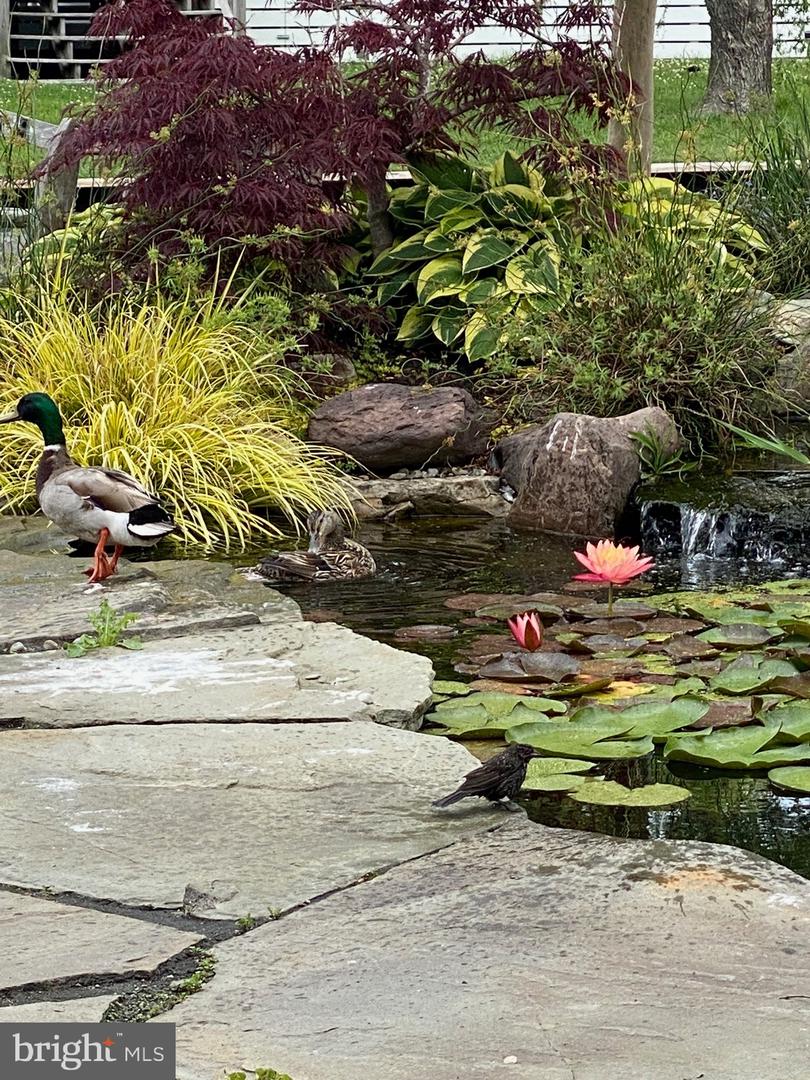 DESU2103056-804441219270-2026-01-23-12-14-17 7 W Essex St | Fenwick Island, DE Real Estate For Sale | MLS# Desu2103056  - Jack Lingo REALTOR