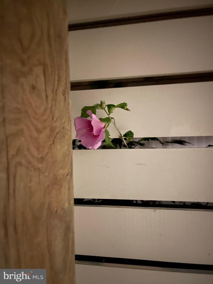 DESU2103056-804441219312-2026-01-23-12-14-17 7 W Essex St | Fenwick Island, DE Real Estate For Sale | MLS# Desu2103056  - Jack Lingo REALTOR