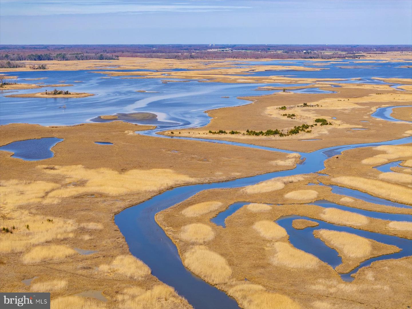 DESU2103064-804665051638-2026-03-20-16-42-35 111 Louisiana | Milton, DE Real Estate For Sale | MLS# Desu2103064  - Jack Lingo REALTOR