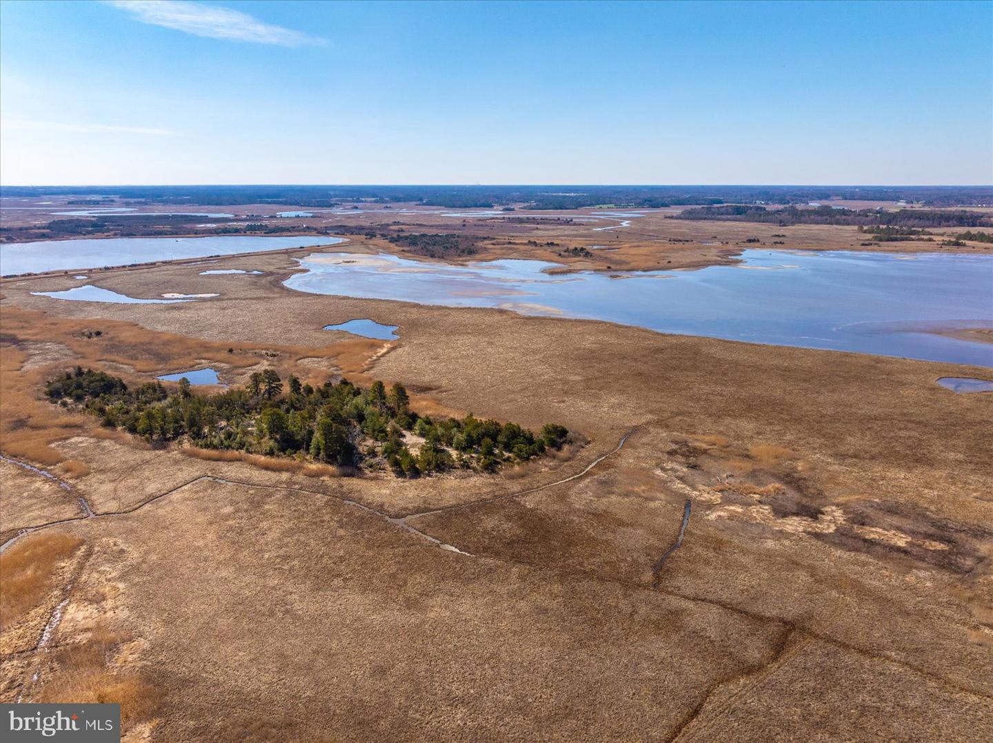 DESU2103064-804665051806-2026-03-20-16-42-37 111 Louisiana | Milton, DE Real Estate For Sale | MLS# Desu2103064  - Jack Lingo REALTOR