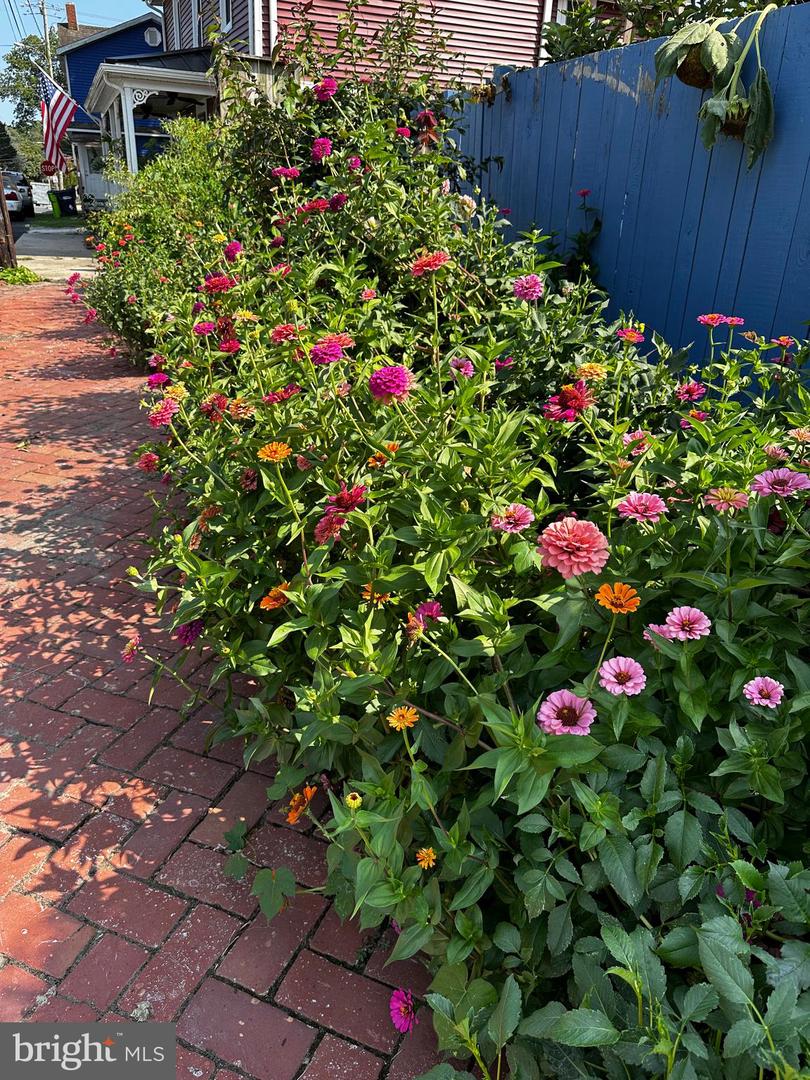 DESU2103072-804470197816-2026-02-09-15-08-13 201 Federal St | Milton, DE Real Estate For Sale | MLS# Desu2103072 - Jack Lingo REALTOR DESU2103072-804470197816-2026-02-09-15-08-13 201 Federal St | Milton, DE Real Estate For Sale | MLS# Desu2103072 - Jack Lingo REALTOR