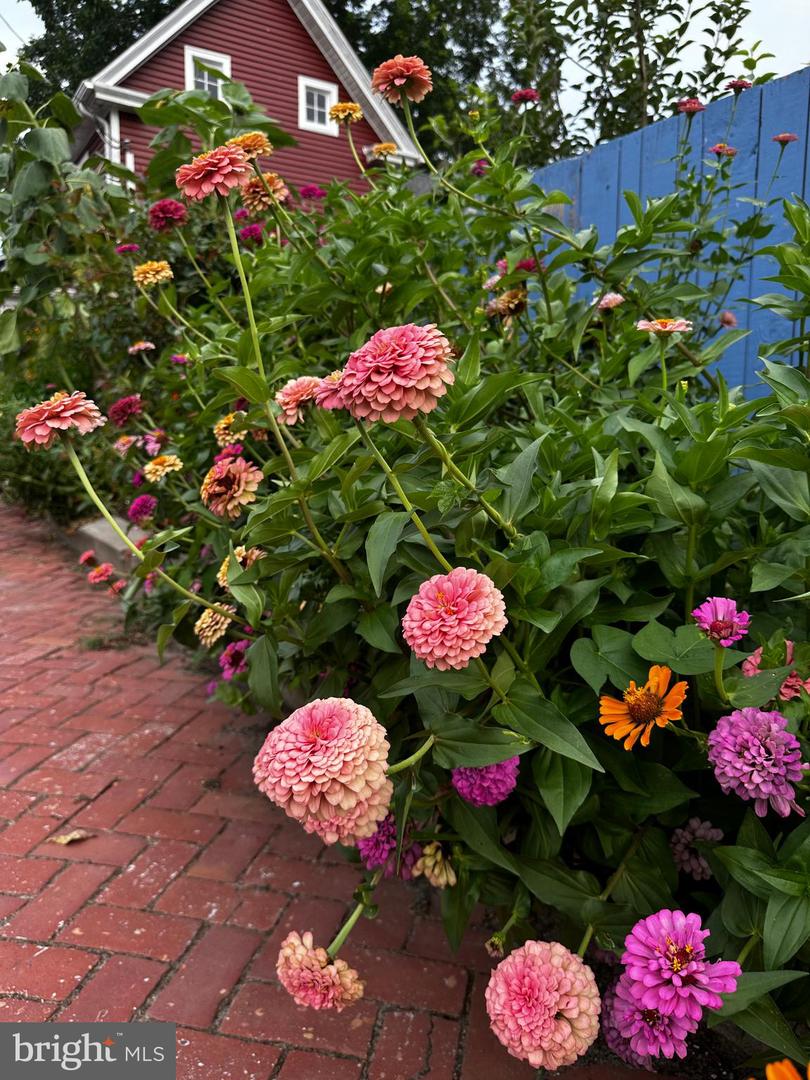 DESU2103072-804470197984-2026-02-09-15-08-16 201 Federal St | Milton, DE Real Estate For Sale | MLS# Desu2103072 - Jack Lingo REALTOR DESU2103072-804470197984-2026-02-09-15-08-16 201 Federal St | Milton, DE Real Estate For Sale | MLS# Desu2103072 - Jack Lingo REALTOR