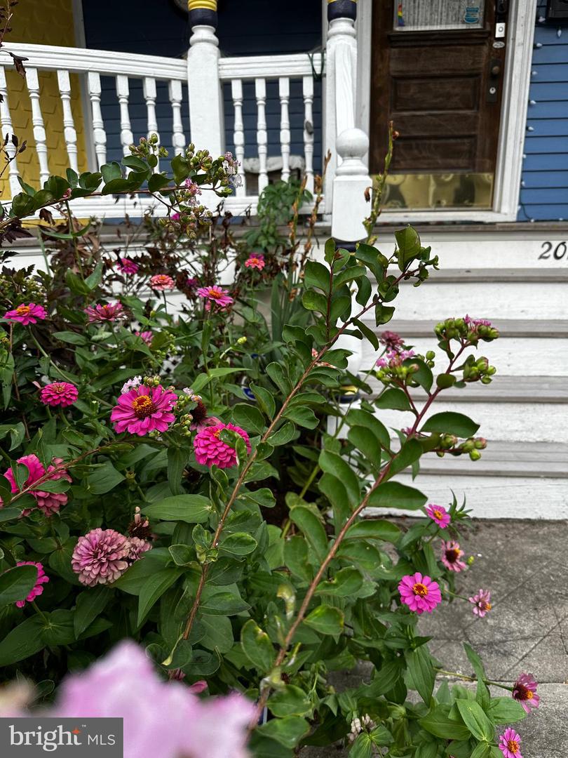 DESU2103072-804470198212-2026-02-09-15-08-15 201 Federal St | Milton, DE Real Estate For Sale | MLS# Desu2103072 - Jack Lingo REALTOR DESU2103072-804470198212-2026-02-09-15-08-15 201 Federal St | Milton, DE Real Estate For Sale | MLS# Desu2103072 - Jack Lingo REALTOR