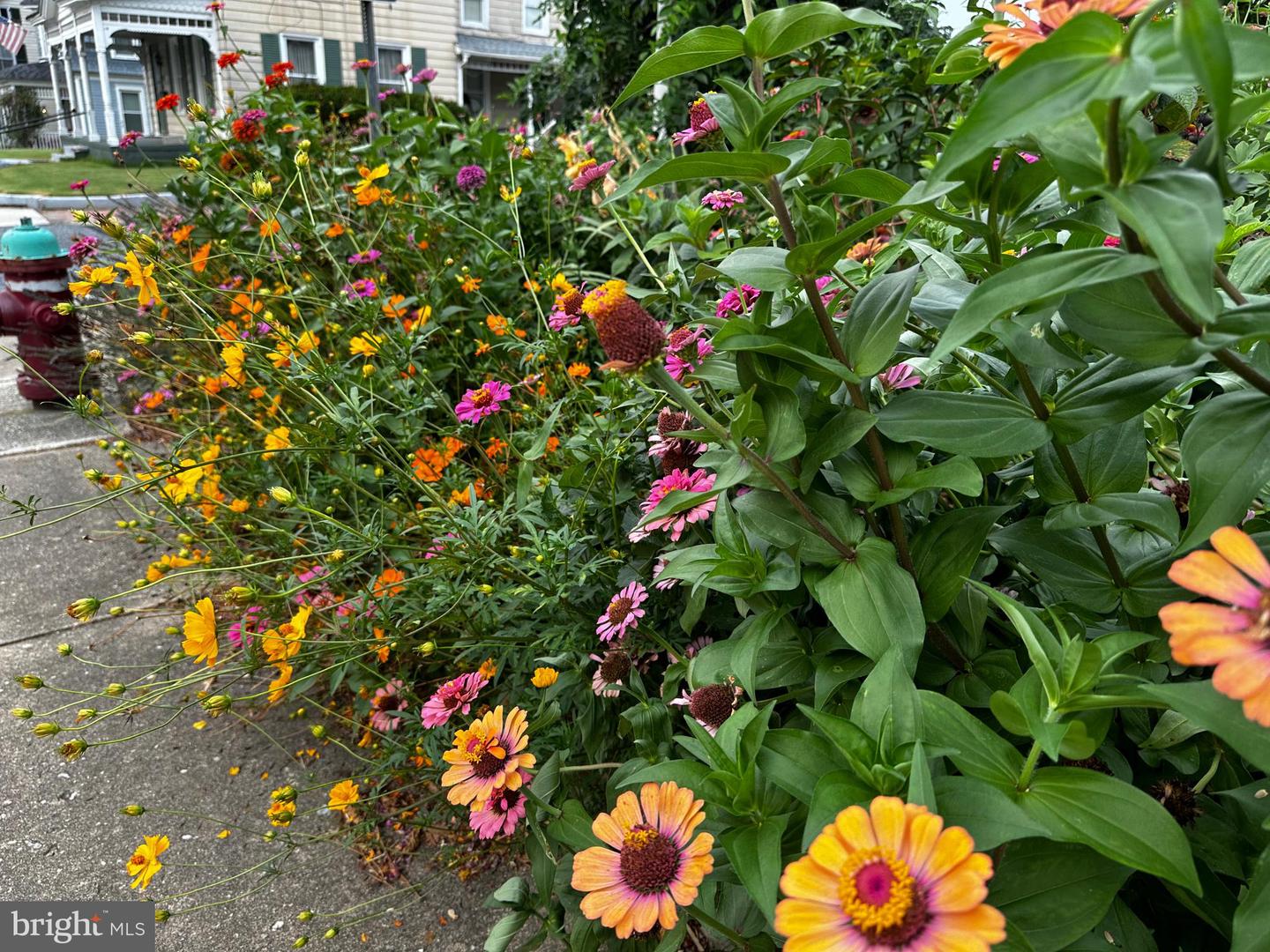 DESU2103072-804470198268-2026-02-09-15-08-16 201 Federal St | Milton, DE Real Estate For Sale | MLS# Desu2103072 - Jack Lingo REALTOR DESU2103072-804470198268-2026-02-09-15-08-16 201 Federal St | Milton, DE Real Estate For Sale | MLS# Desu2103072 - Jack Lingo REALTOR