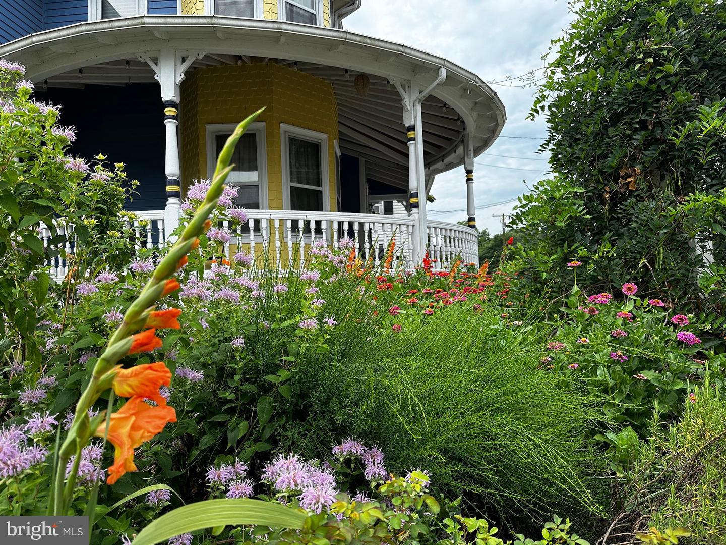 DESU2103072-804470198304-2026-02-09-00-08-22 201 Federal St | Milton, DE Real Estate For Sale | MLS# Desu2103072 - Jack Lingo REALTOR DESU2103072-804470198304-2026-02-09-00-08-22 201 Federal St | Milton, DE Real Estate For Sale | MLS# Desu2103072 - Jack Lingo REALTOR