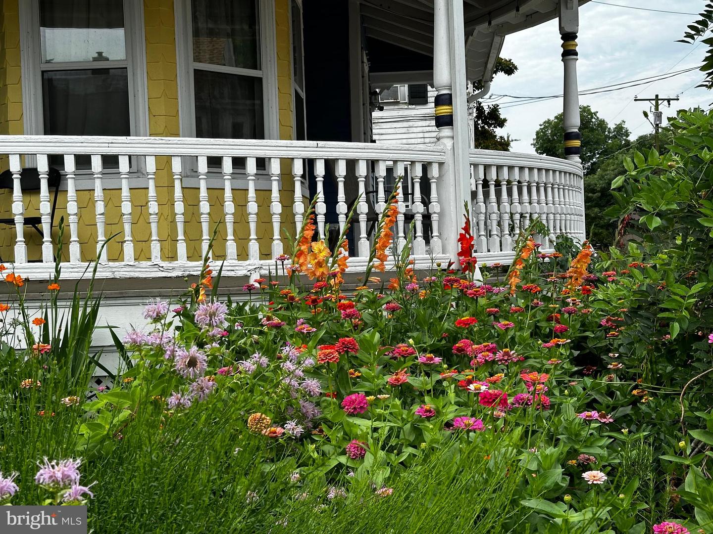 DESU2103072-804470198348-2026-02-09-15-08-16 201 Federal St | Milton, DE Real Estate For Sale | MLS# Desu2103072 - Jack Lingo REALTOR DESU2103072-804470198348-2026-02-09-15-08-16 201 Federal St | Milton, DE Real Estate For Sale | MLS# Desu2103072 - Jack Lingo REALTOR