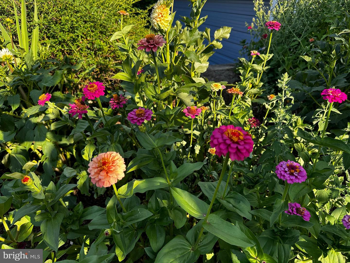 DESU2103072-804470198468-2026-02-09-15-08-15 201 Federal St | Milton, DE Real Estate For Sale | MLS# Desu2103072 - Jack Lingo REALTOR DESU2103072-804470198468-2026-02-09-15-08-15 201 Federal St | Milton, DE Real Estate For Sale | MLS# Desu2103072 - Jack Lingo REALTOR