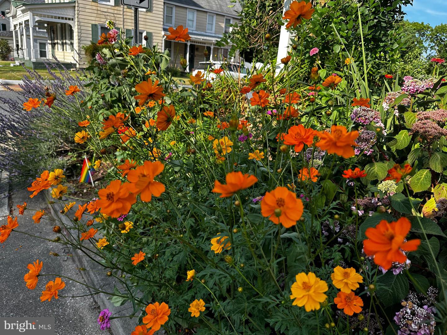 DESU2103072-804470198722-2026-02-09-15-08-15 201 Federal St | Milton, DE Real Estate For Sale | MLS# Desu2103072 - Jack Lingo REALTOR DESU2103072-804470198722-2026-02-09-15-08-15 201 Federal St | Milton, DE Real Estate For Sale | MLS# Desu2103072 - Jack Lingo REALTOR