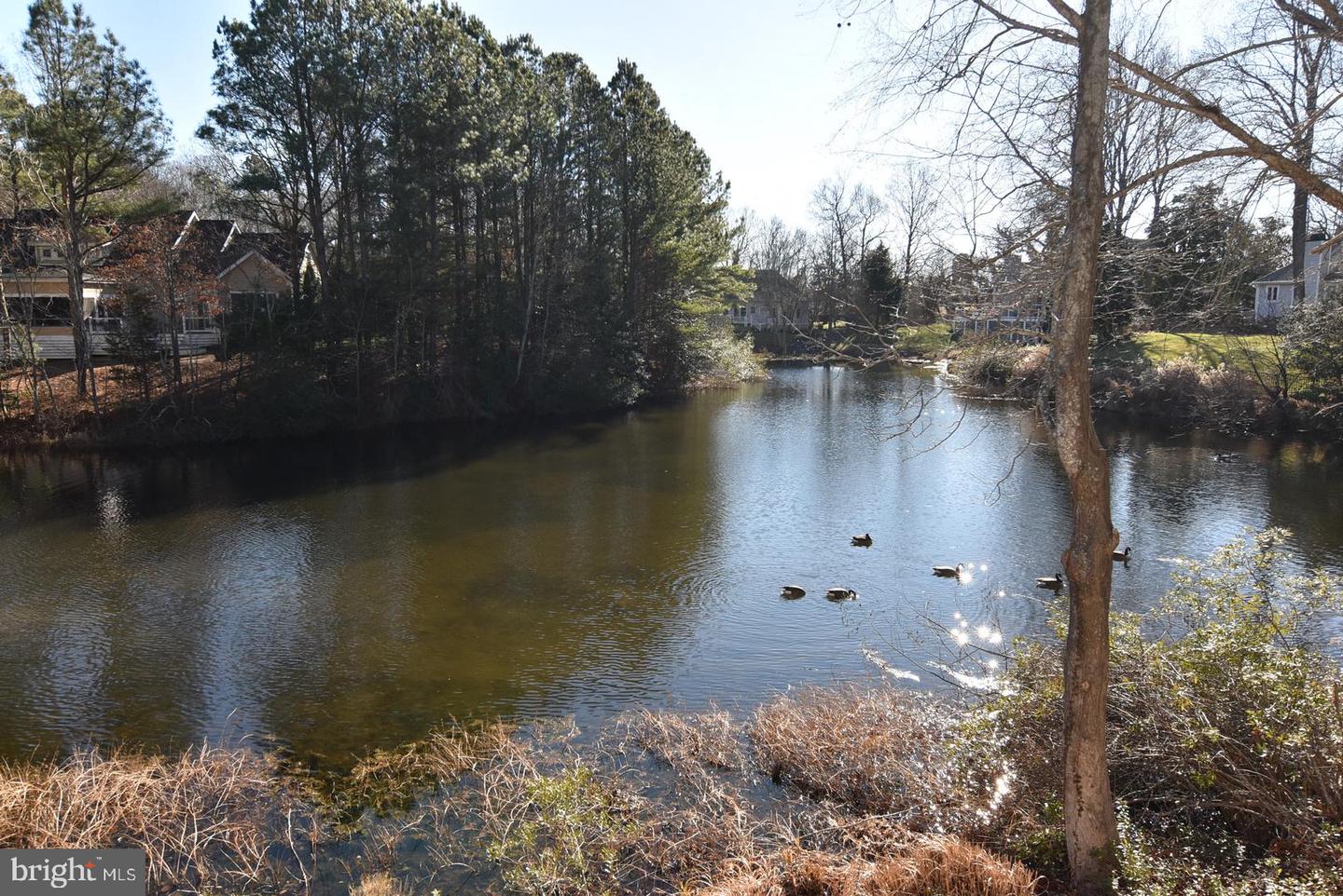 DESU2103076-804437361382-2026-01-13-15-53-38 202 Lakeview Shrs | Rehoboth Beach, DE Real Estate For Sale | MLS# Desu2103076  - Jack Lingo REALTOR