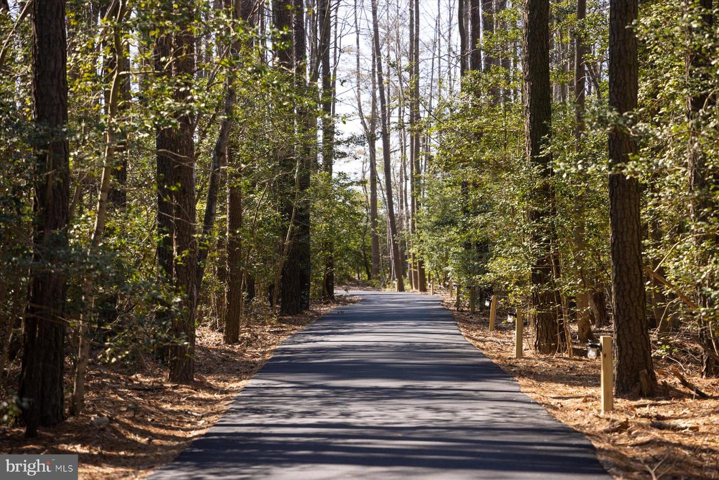 DESU2103114-804439075616-2026-01-15-09-29-19 30425 Hollymount Rd | Harbeson, DE Real Estate For Sale | MLS# Desu2103114  - Jack Lingo REALTOR