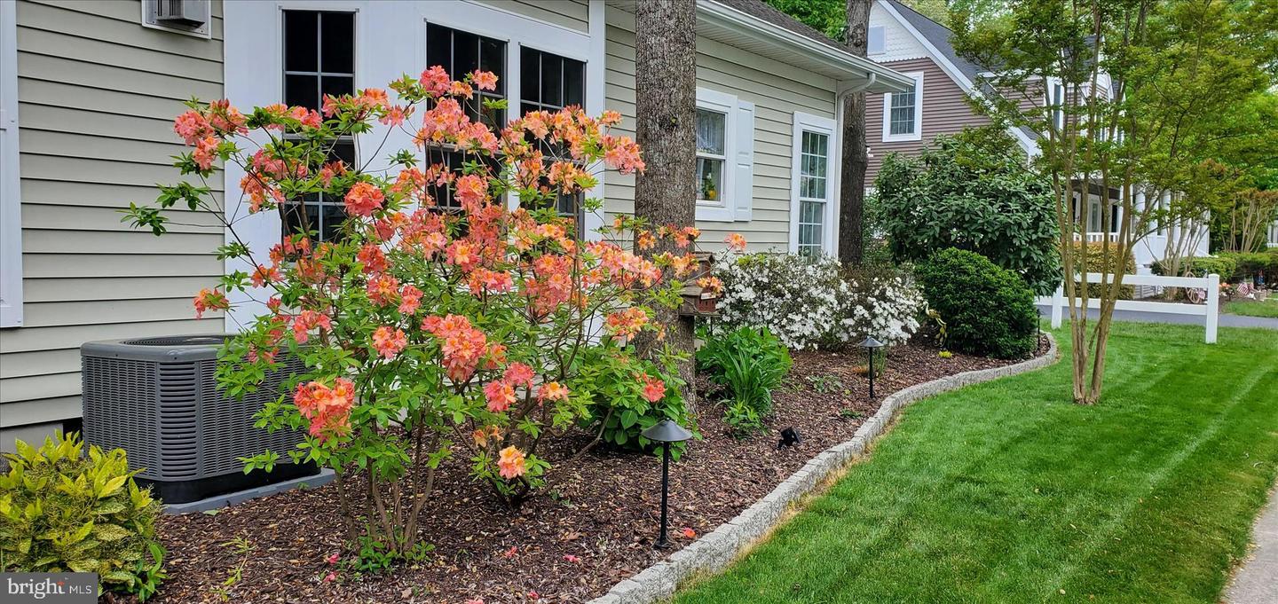 DESU2103206-804484660808-2026-01-29-11-31-46 33754 Caddies Way | Millsboro, DE Real Estate For Sale | MLS# Desu2103206 - Jack Lingo REALTOR DESU2103206-804484660808-2026-01-29-11-31-46 33754 Caddies Way | Millsboro, DE Real Estate For Sale | MLS# Desu2103206 - Jack Lingo REALTOR