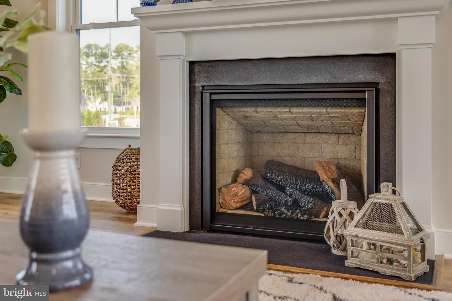 DESU2103274-804449750074-2026-01-16-16-15-39 30461 Blue Beech Ln | Frankford, DE Real Estate For Sale | MLS# Desu2103274  - Jack Lingo REALTOR