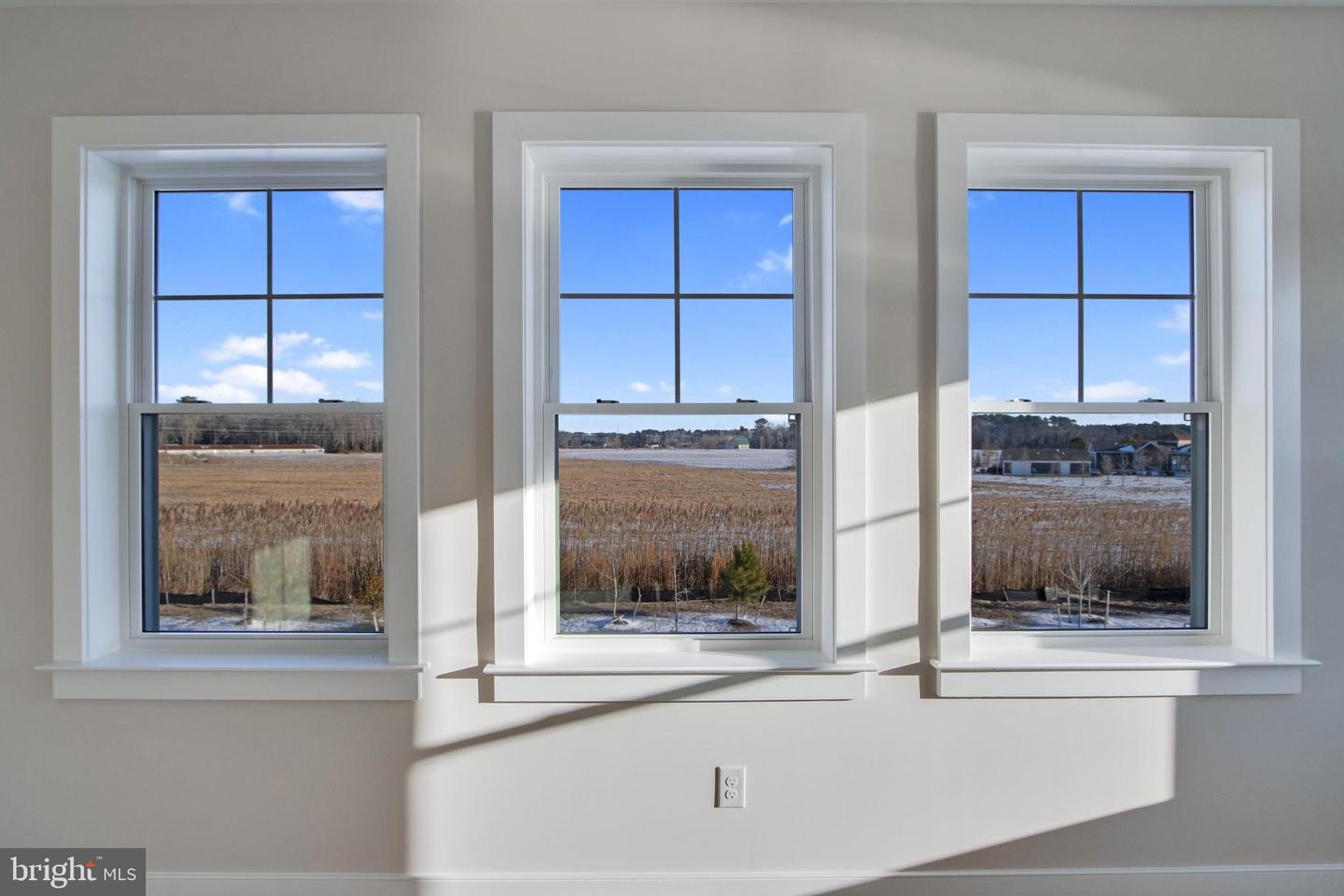 DESU2103284-804487617496-2026-01-30-10-05-01 30491 Blue Beech Ln | Frankford, DE Real Estate For Sale | MLS# Desu2103284  - Jack Lingo REALTOR