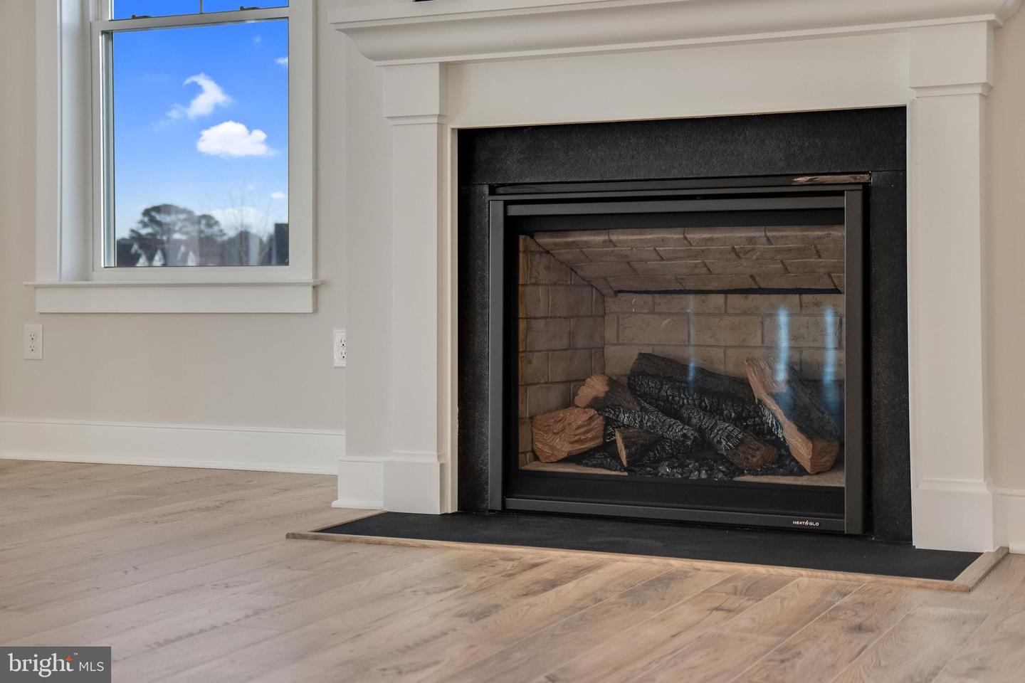 DESU2103284-804487617648-2026-01-30-10-05-02 30491 Blue Beech Ln | Frankford, DE Real Estate For Sale | MLS# Desu2103284  - Jack Lingo REALTOR