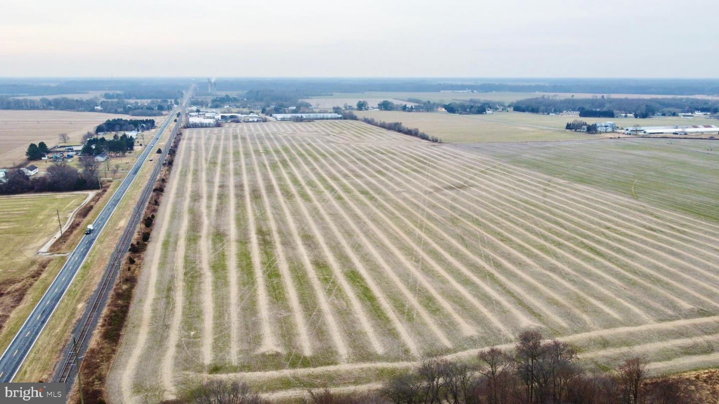 DESU2103348-804454205810-2026-01-18-17-37-36 Parcel 1 - Wilson Farm Rd | Bridgeville, DE Real Estate For Sale | MLS# Desu2103348 - Jack Lingo REALTOR DESU2103348-804454205810-2026-01-18-17-37-36 Parcel 1 - Wilson Farm Rd | Bridgeville, DE Real Estate For Sale | MLS# Desu2103348 - Jack Lingo REALTOR