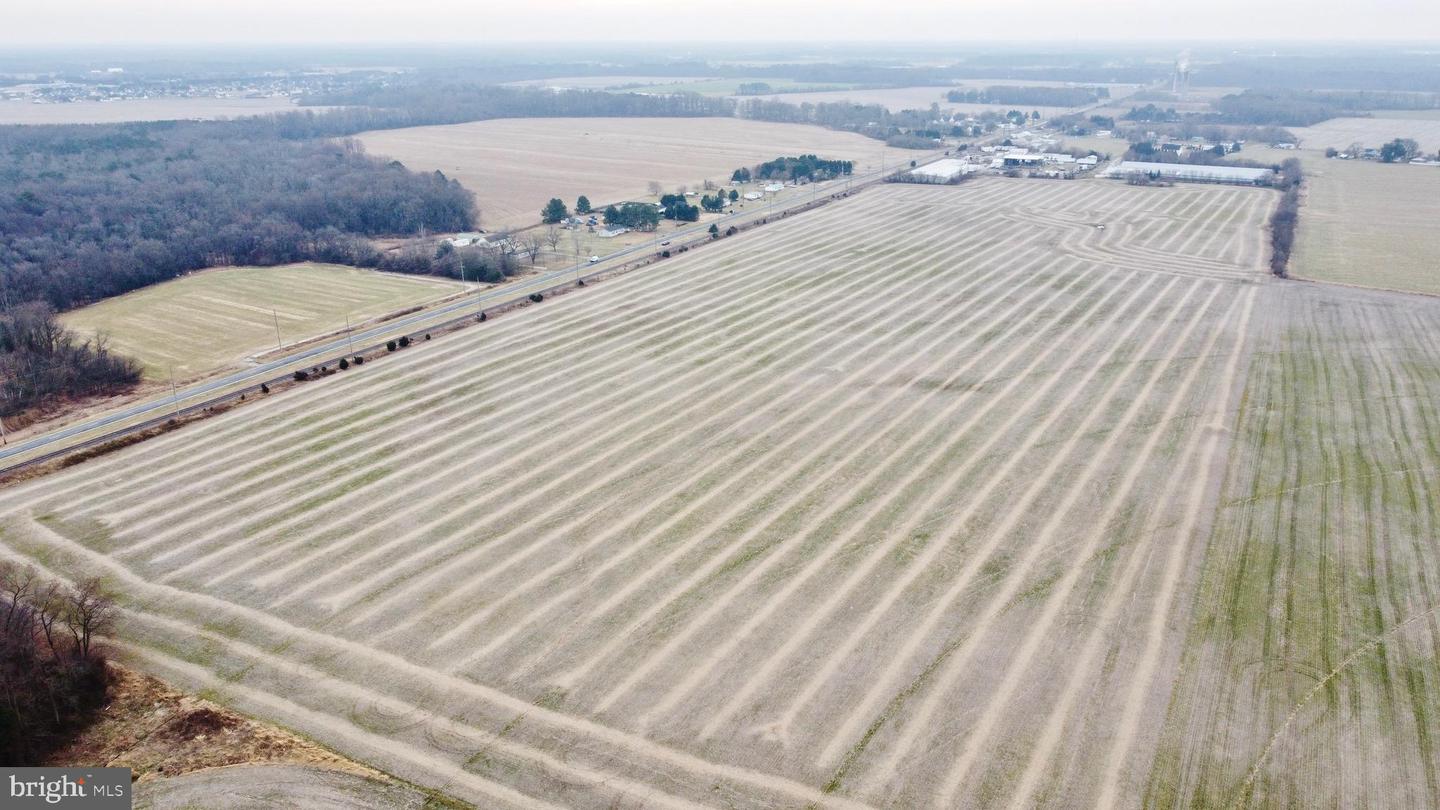 DESU2103348-804454205818-2026-01-18-17-37-36 Parcel 1 - Wilson Farm Rd | Bridgeville, DE Real Estate For Sale | MLS# Desu2103348 - Jack Lingo REALTOR DESU2103348-804454205818-2026-01-18-17-37-36 Parcel 1 - Wilson Farm Rd | Bridgeville, DE Real Estate For Sale | MLS# Desu2103348 - Jack Lingo REALTOR