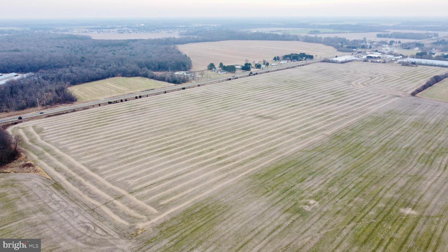 PARCEL 1 - WILSON FARM RD, BRIDGEVILLE, DE - Jack Lingo Realtor